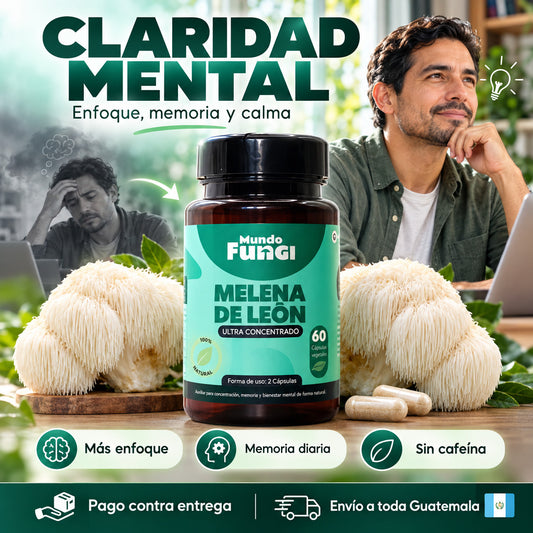 Melena de León MENTE CLARA — Calma, Salud y Menos Estrés
