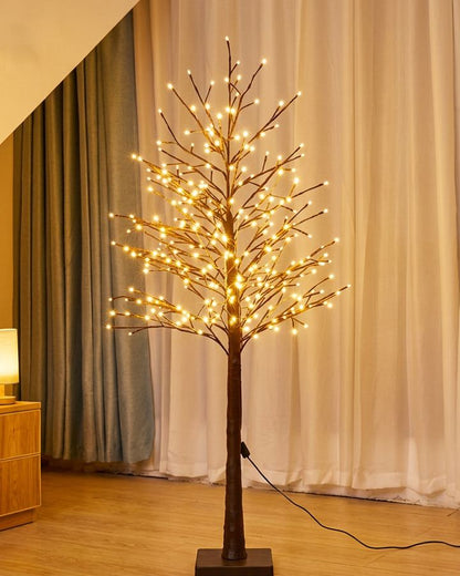 IMG-ARBOL