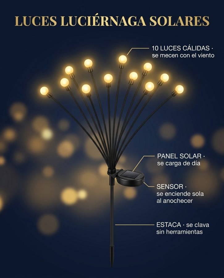 IMG-FICHA