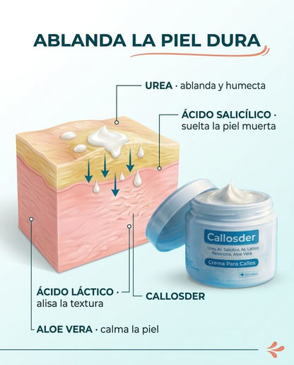IMG-INGREDIENTES
