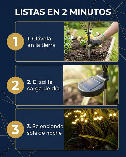 IMG-PASOS