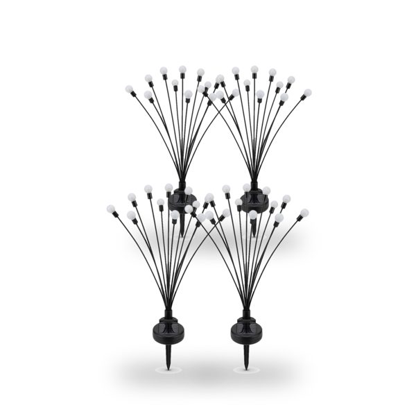 OFERTA-2